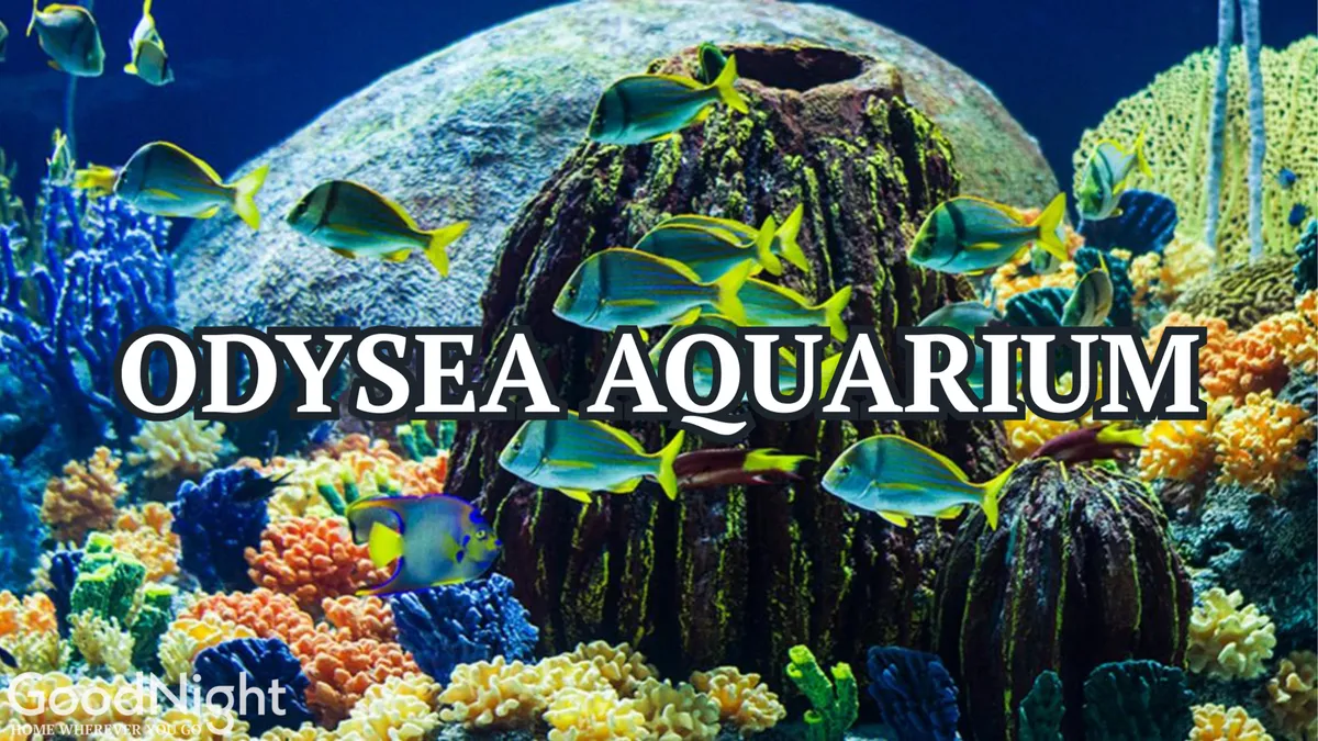 Inside a vibrant aquarium, colorful coral reefs and a school of fish are visible, capturing the wonder of aquatic life. The image conveys excitement and curiosity, ideal for sparking children's interest in discovery and learning during a family outing.